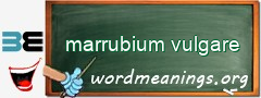 WordMeaning blackboard for marrubium vulgare